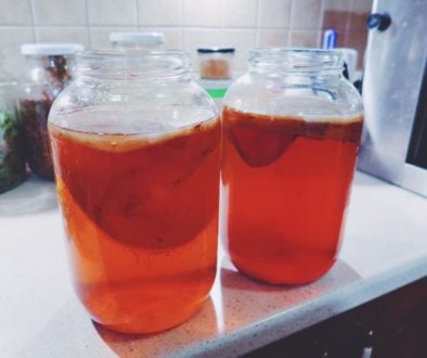 kombucza kombucha