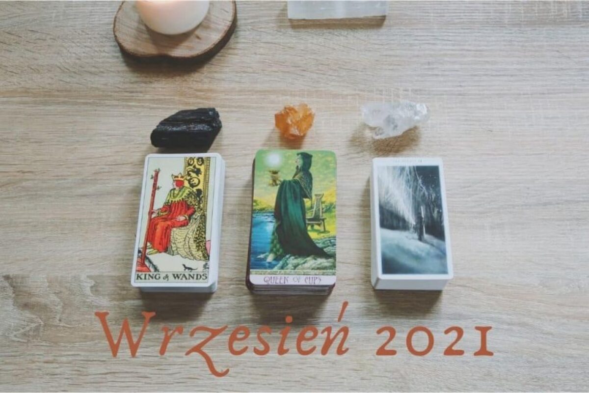 RoślinnaMoc_wrzesień2021_wybierz_kartę-min