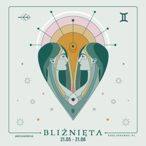 bliznieta_roslinnamocpl_min