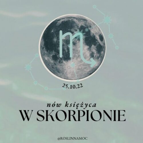 nowwskorpionie22_roslinnamocpl