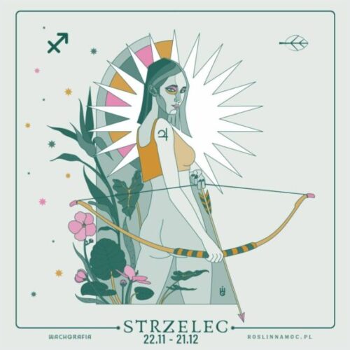 strzelec_roslinnamocpl-min