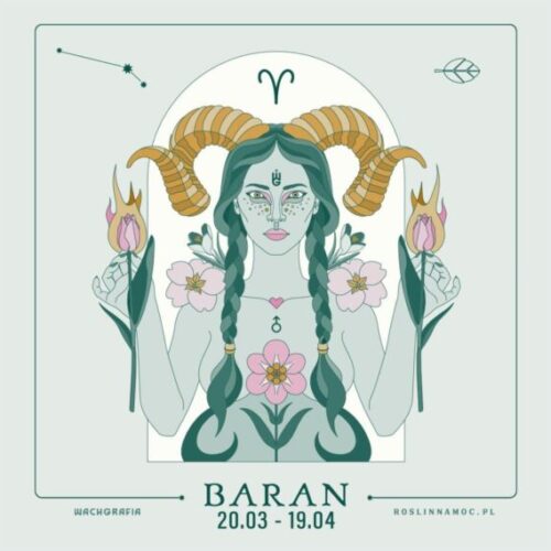 baran-roslinnamocpl-min