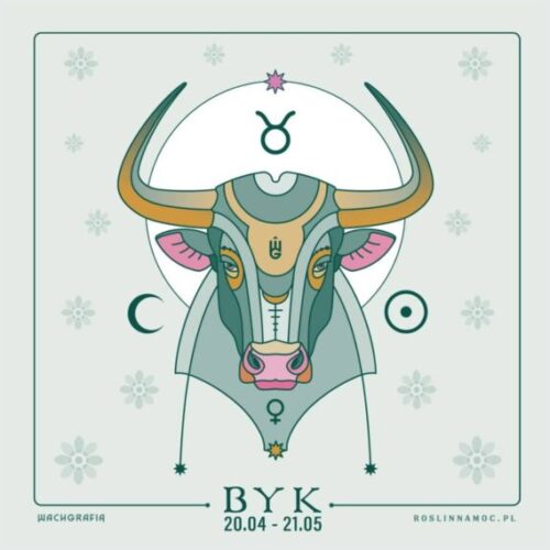 byk_roslinnamocpl-min