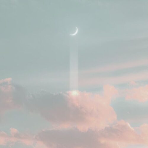 ksiezycwastrologii_roslinnamocpl-min