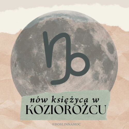 nowwkoziorozcu2022_roslinnamocpl-min