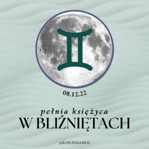 pelniawbliznietach2022_roslinnamocpl-min