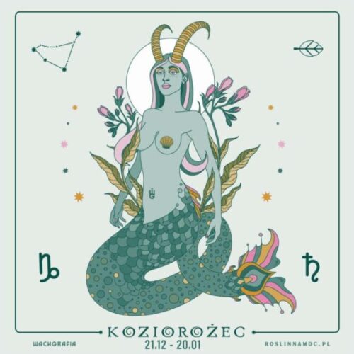 koziorozec_roslinnamoc_pl