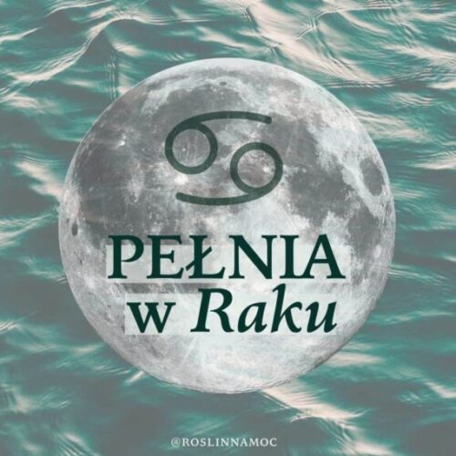 pelniawraku2023_roslinnamocpl-min