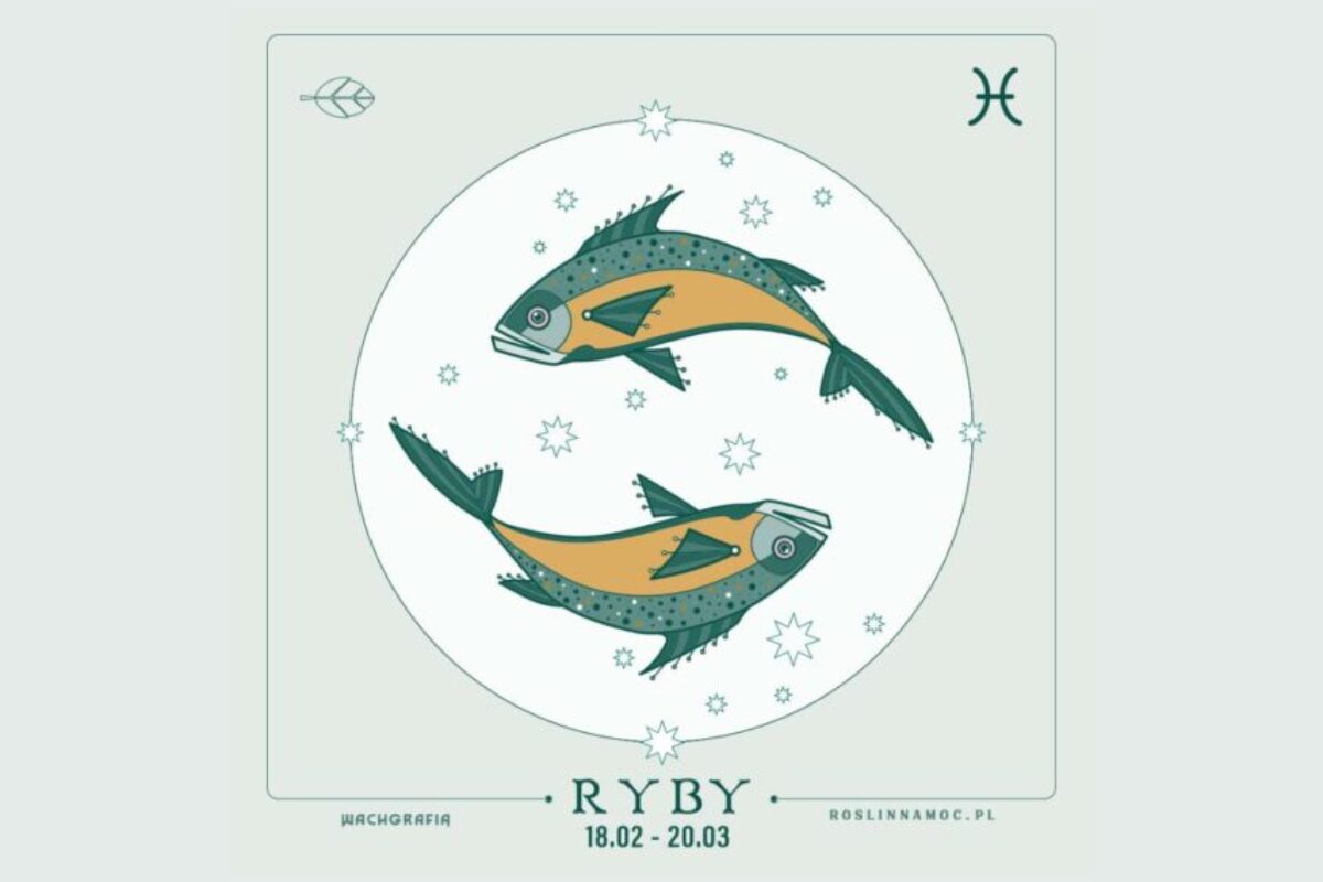 ryby_roslinnamoc_pl