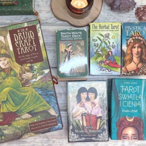 taliedlapoczatkujacych_roslinnamocpl