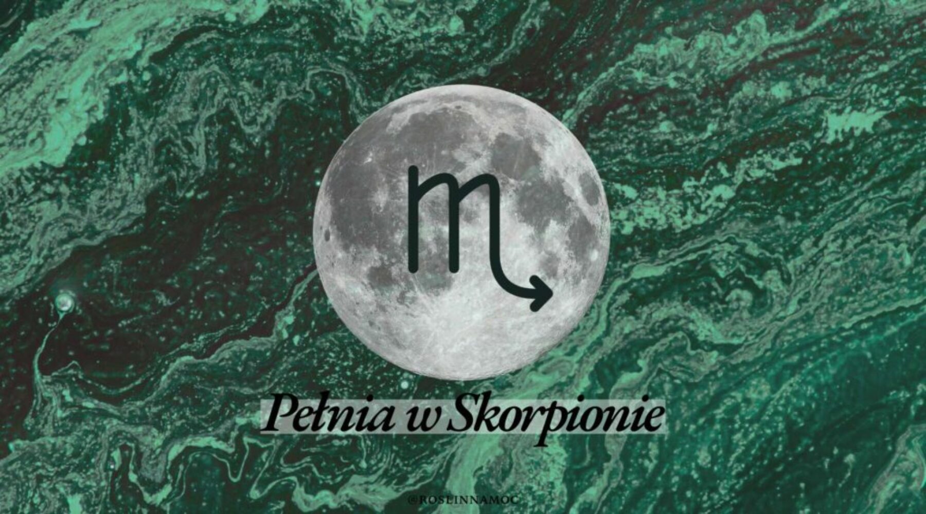 pelniawskorpionie_roslinnamocpl