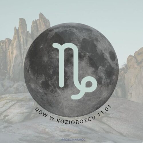 nowwkoziorozcu24_roslinnamocpl