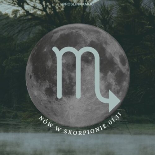 now_w_skorpionie_2024_roslinnamocpl