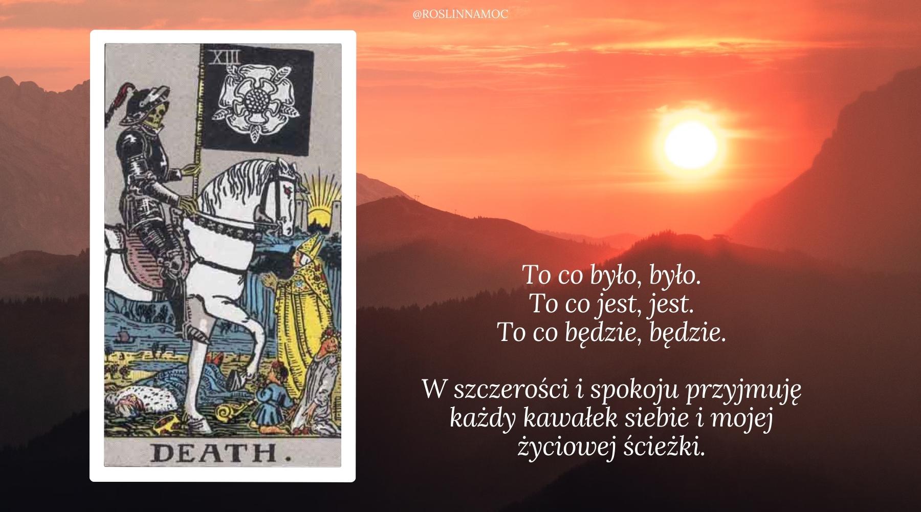 afirmacja_pelniawskorpionie2025_roslinnamocpl