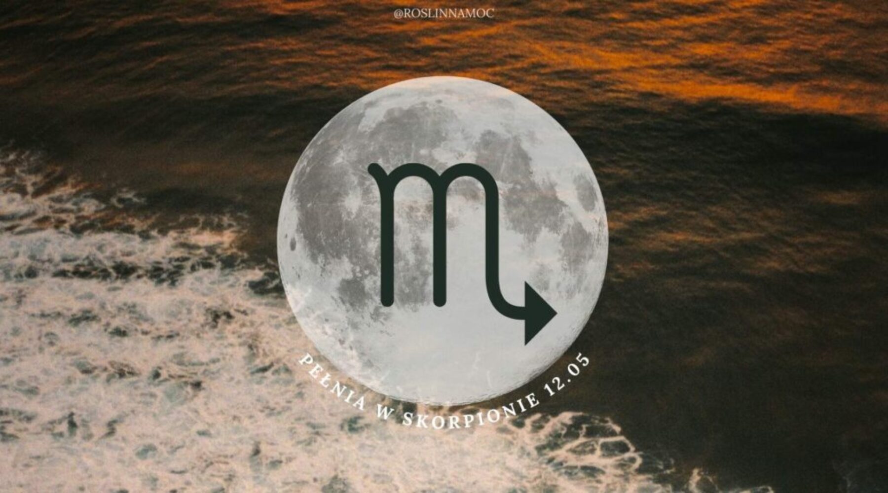 pelniawskorpionie_2025_roslinnamocpl