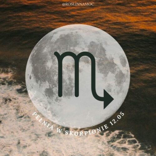 pelniawskorpionie_2025_roslinnamocpl