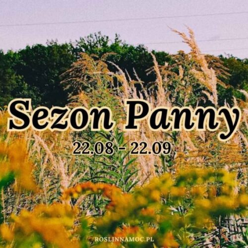 sezon panny astrologia