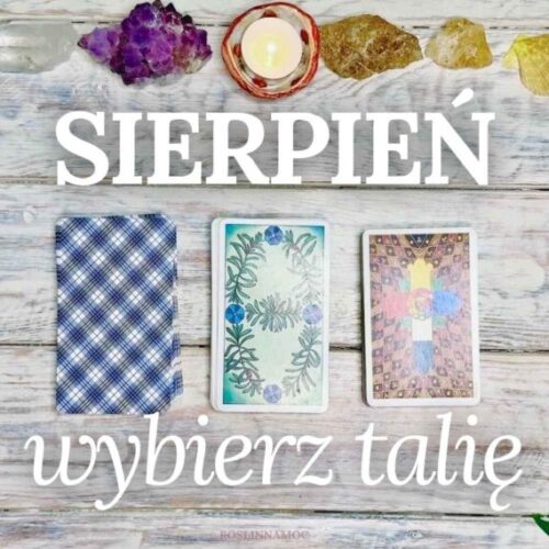 wybierztalie_sierpien2025_roslinnamocpl