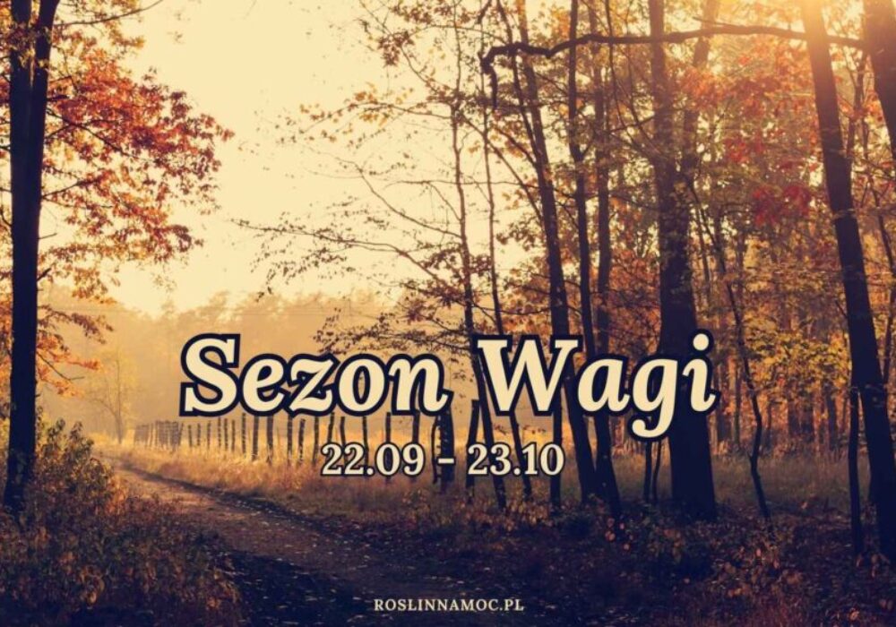 sezonwagi_2025_roslinnamocpl sezon wagi astrologia