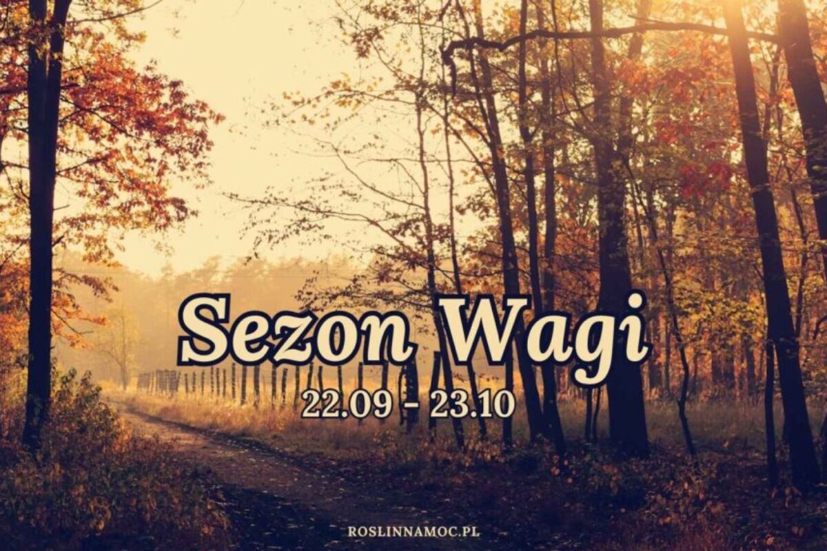 sezon wagi astrologia