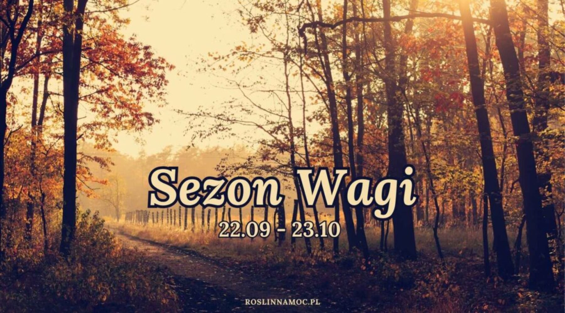 sezonwagi_2025_roslinnamocpl sezon wagi astrologia