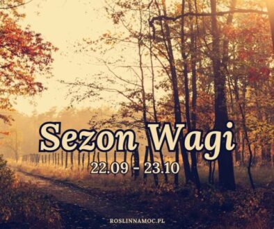 sezon wagi astrologia