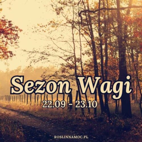sezon wagi astrologia