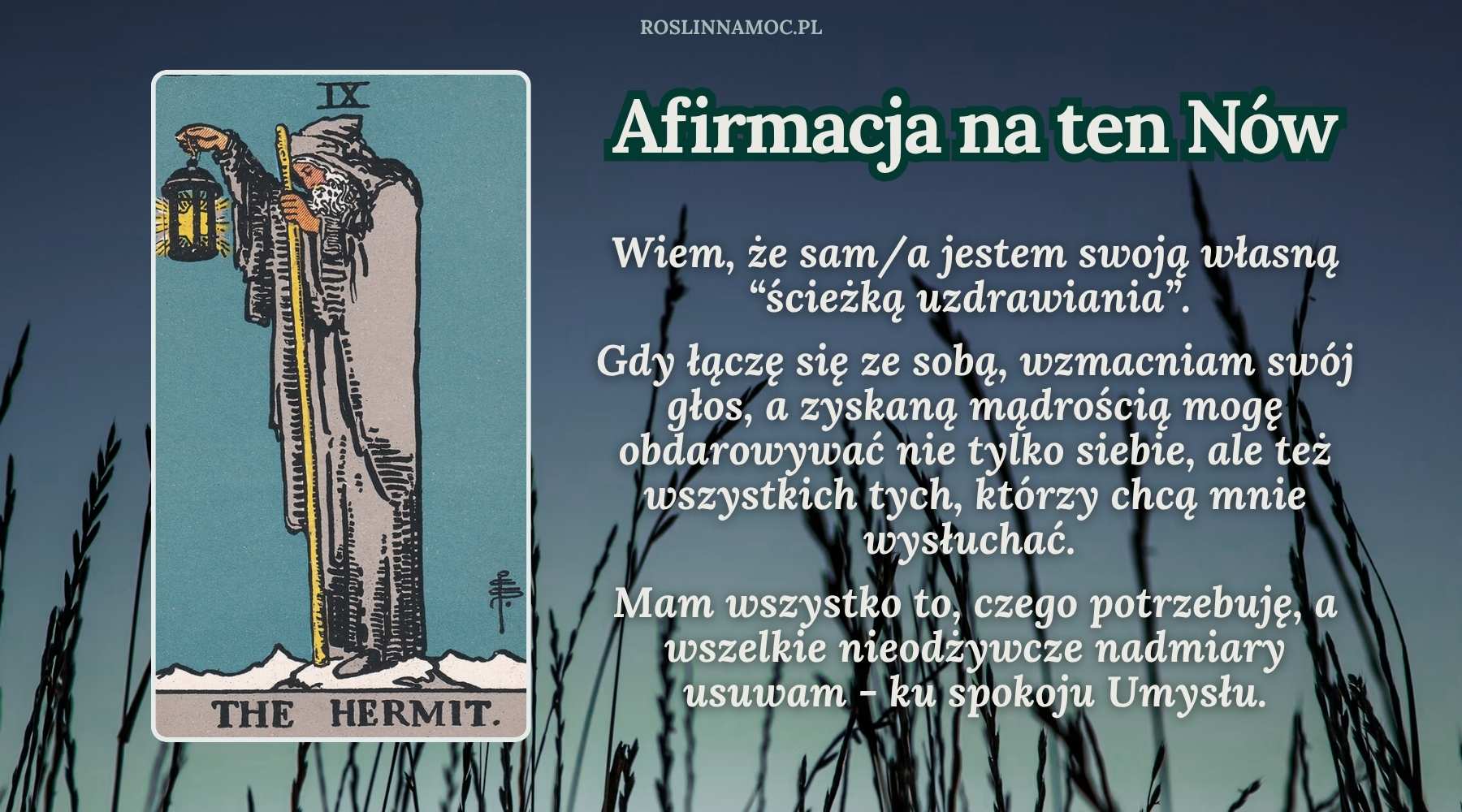 afirmacja_nowwpannie2025_roslinnamocpl