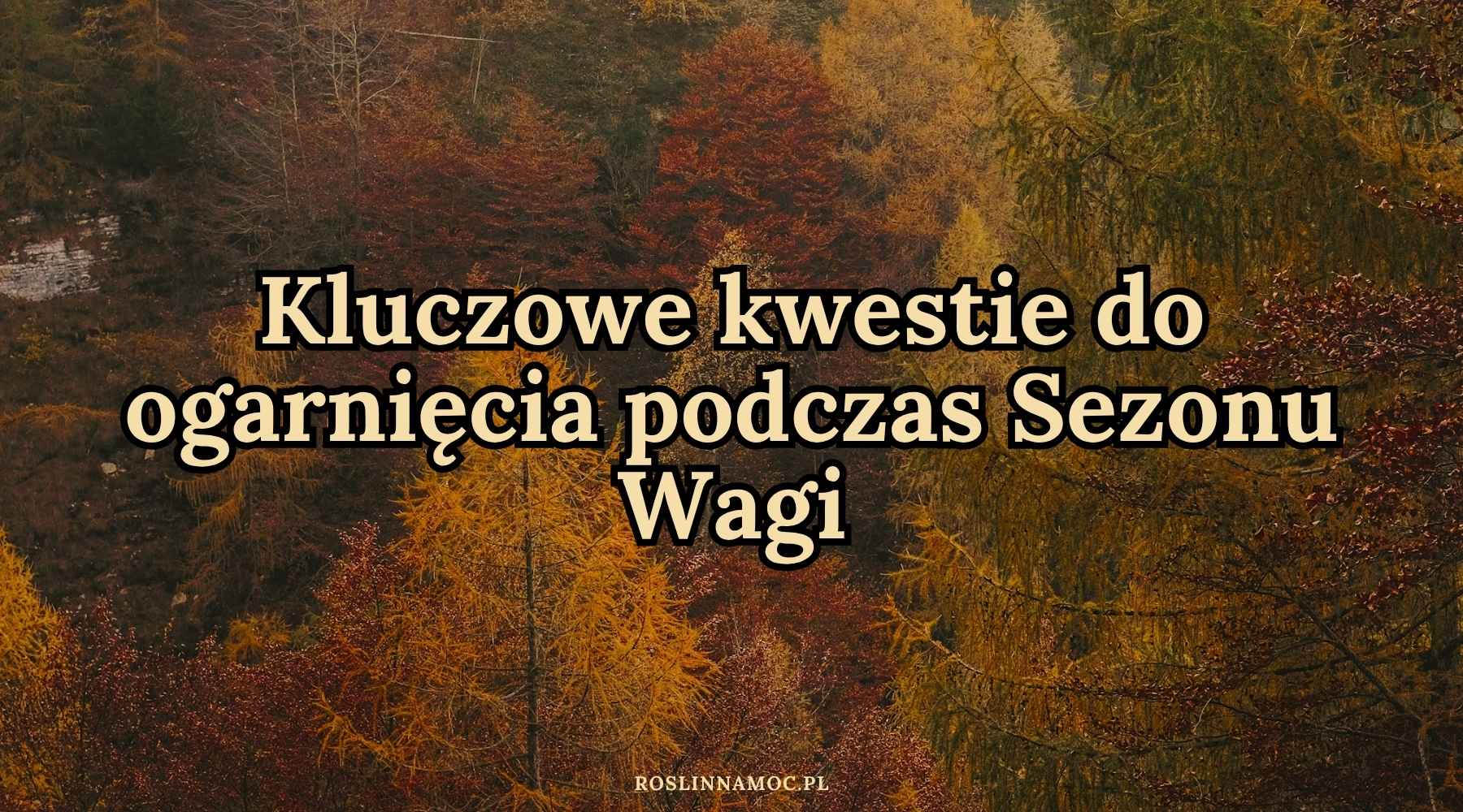 kluczowekwestie_sezonwagi_roslinnamoc kluczowekwestie_sezonwagi_roslinnamoc