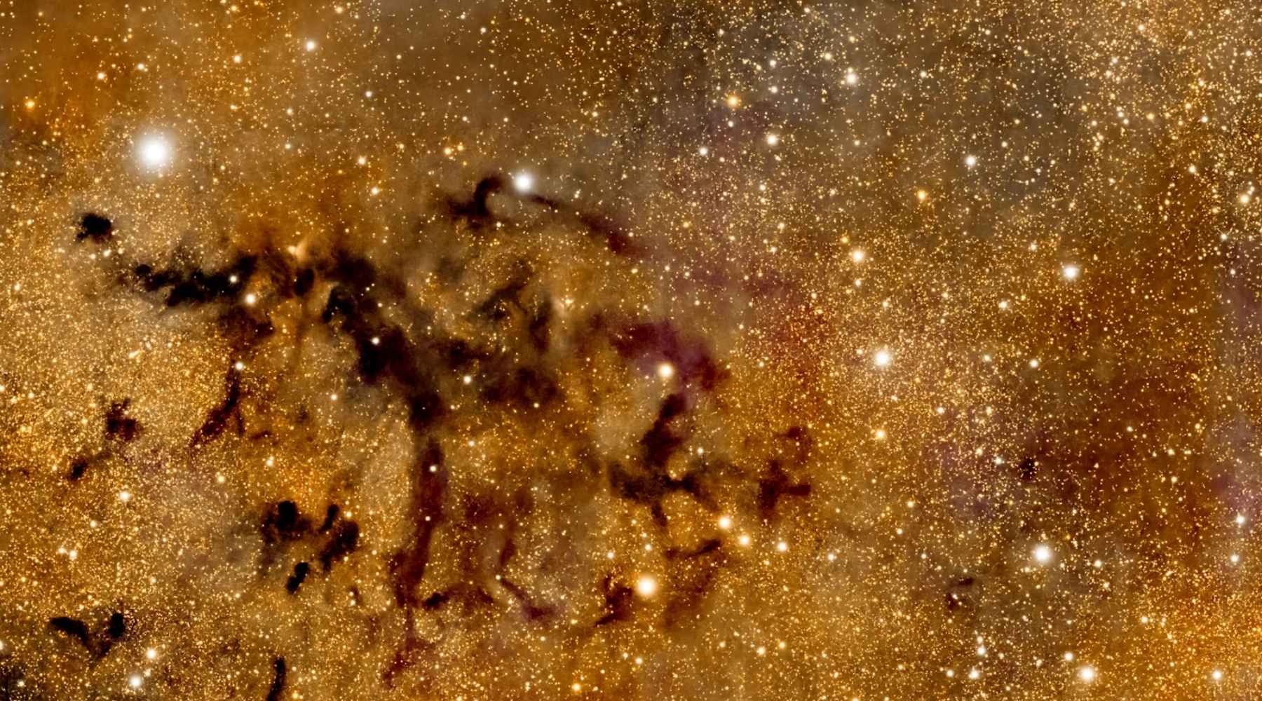 kosmos_roslinnamocpl