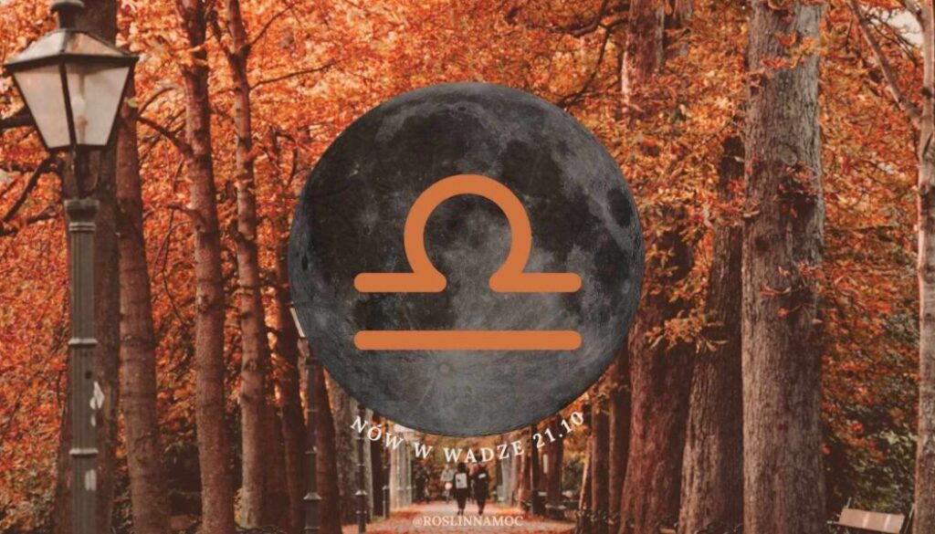 nowwaga1_roslinnamocpl