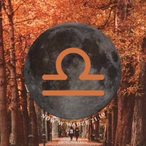 nowwaga1_roslinnamocpl