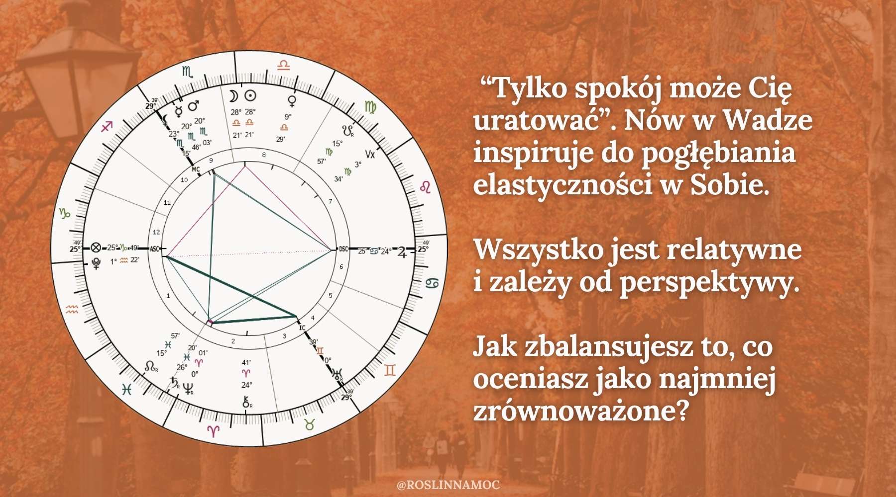 nowwaga2_2025_roslinnamocpl