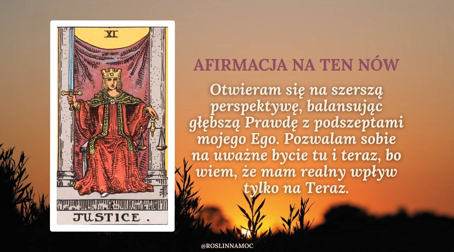 nowwaga4_2025_roslinnamocpl