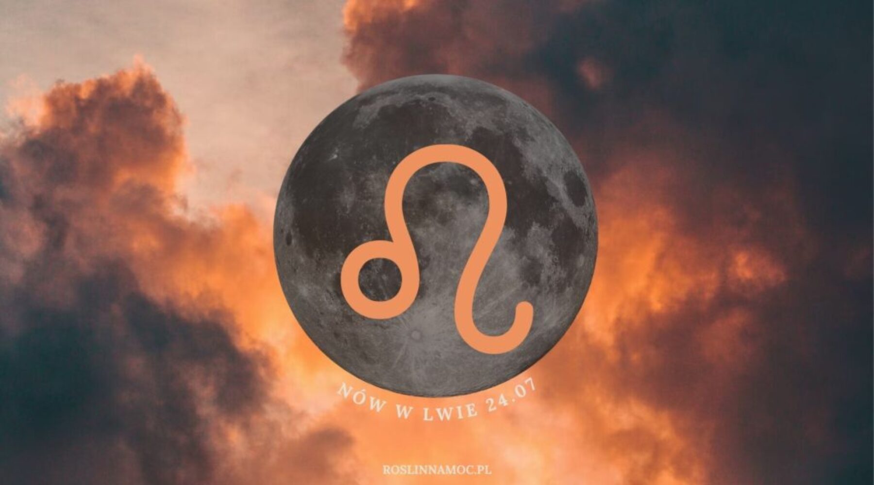 nowwlwie2025_roslinnamocpl