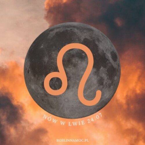 nowwlwie2025_roslinnamocpl