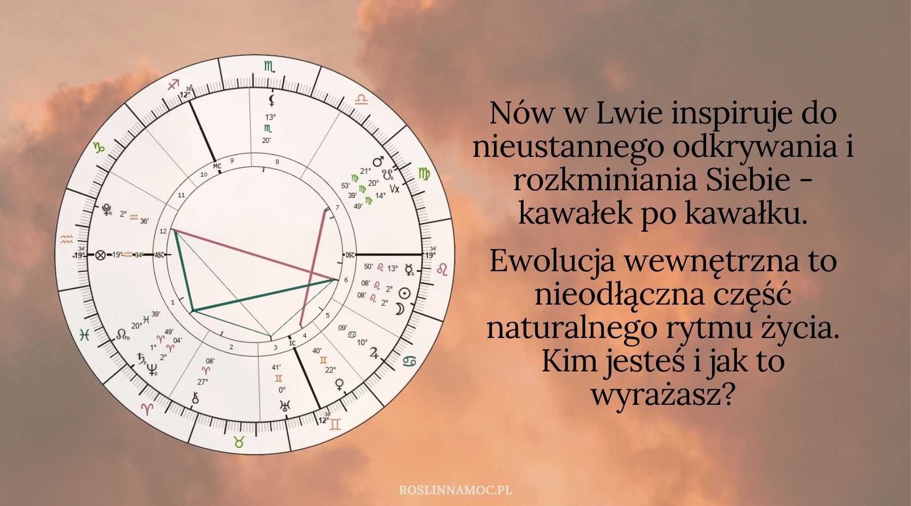 nowwlwie2_2025_roslinnamocpl