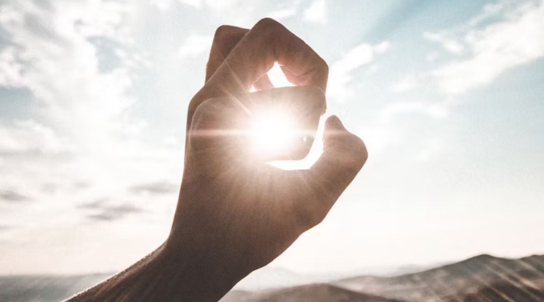 nowwlwie3_2025_roslinnamocpl