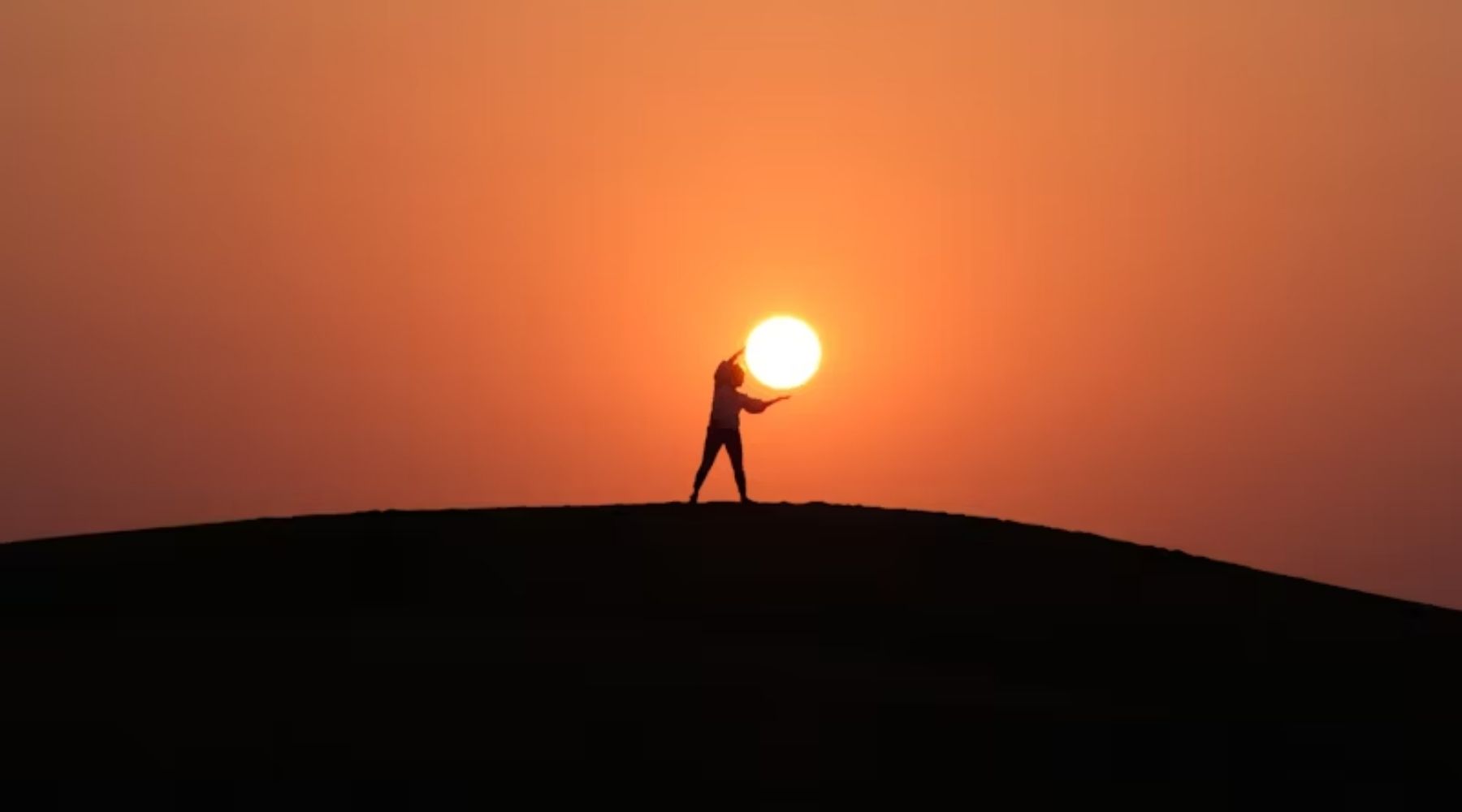 nowwlwie4_2025_roslinnamocpl