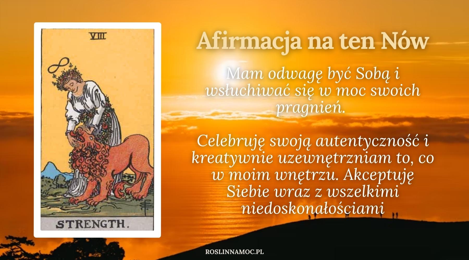 nowwlwie5_2025_roslinnamocpl