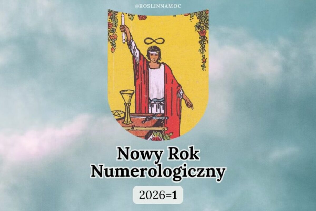 nowyroknumerologiczny_2026_roslinnamocpl