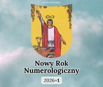 nowyroknumerologiczny_2026_roslinnamocpl