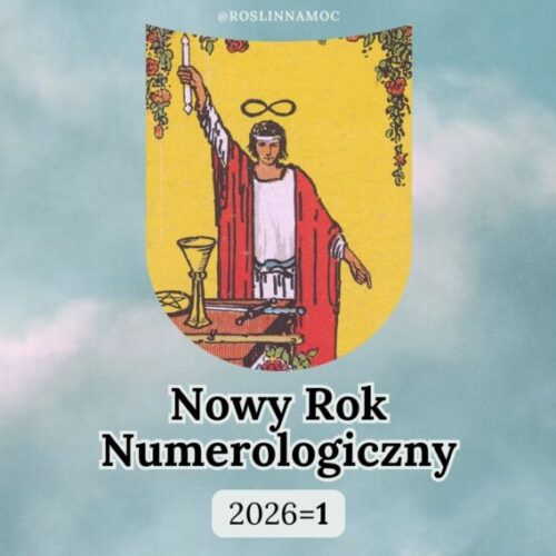 nowyroknumerologiczny_2026_roslinnamocpl