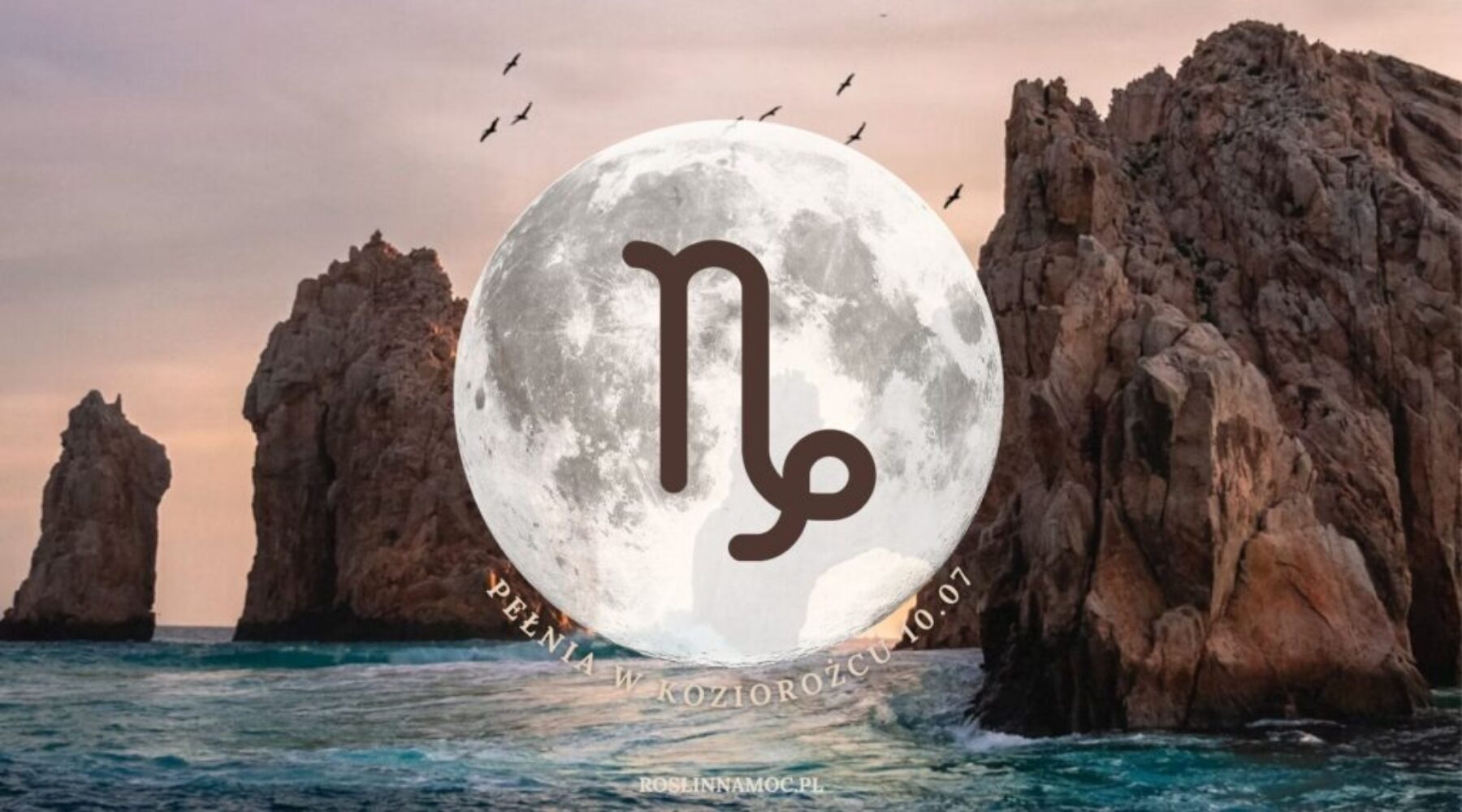 pelniawkoziorozcu2025_roslinnamocpl