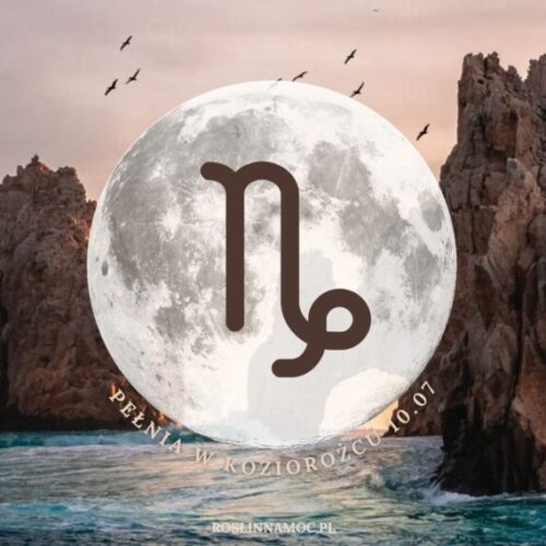 pelniawkoziorozcu2025_roslinnamocpl