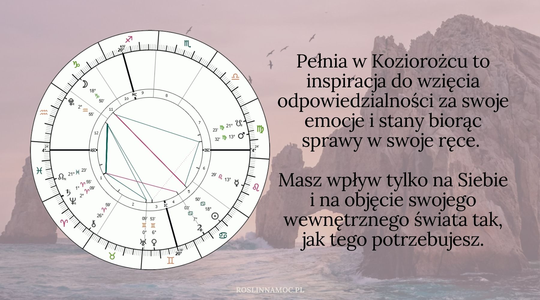 pelniawkoziorozcu2_2025_roslinnamocpl