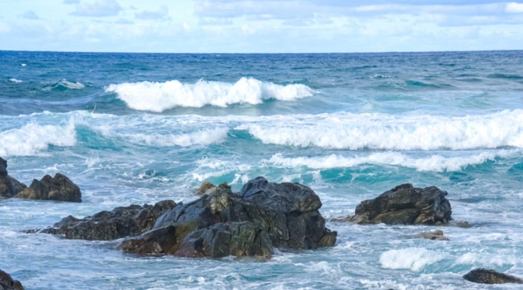 pelniawkoziorozcu3_2025_roslinnamocpl