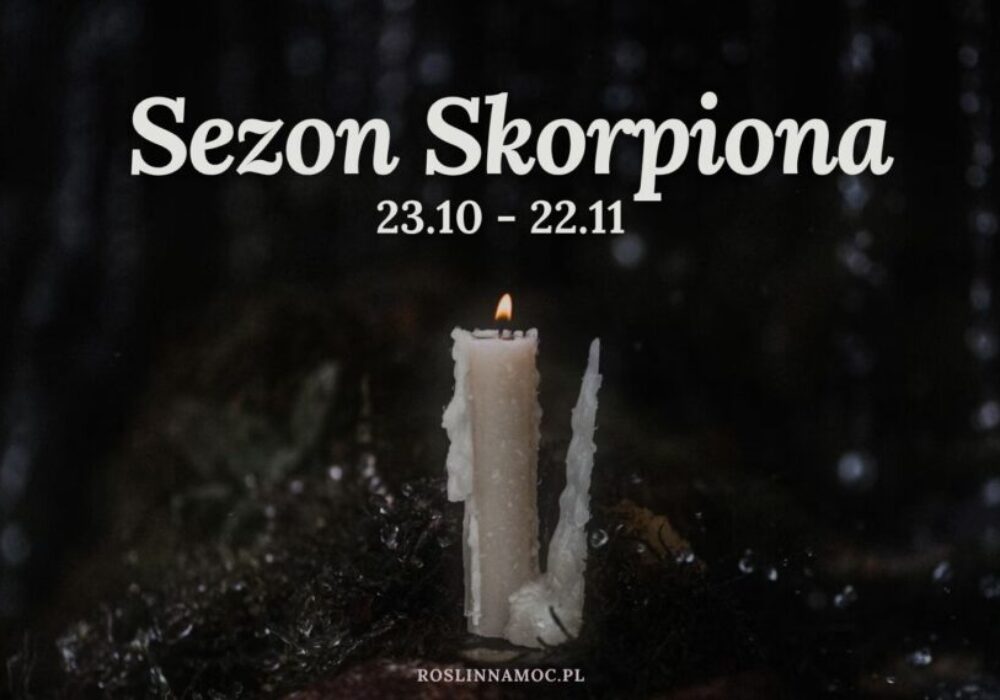 sezonskorpiona1_roslinnamocpl