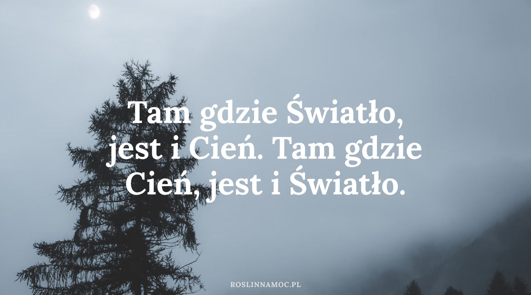 sezonskorpiona2_roslinnamocpl sezonskorpiona2_roslinnamocpl
