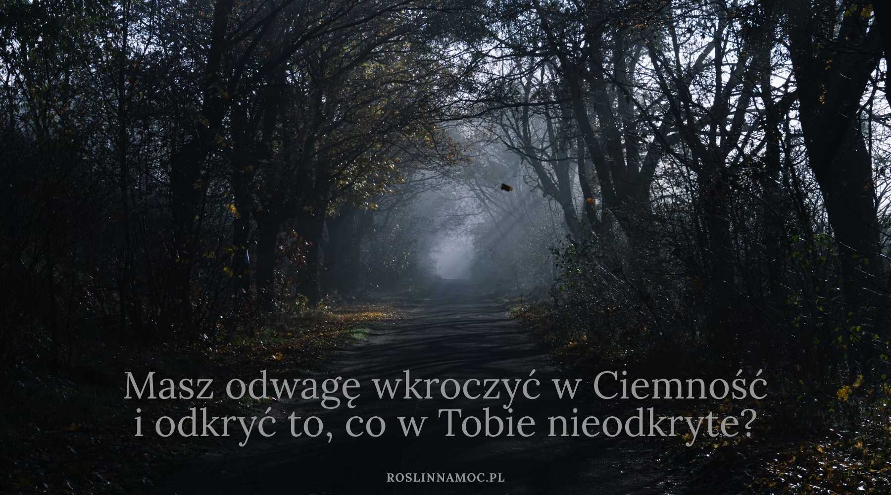 sezonskorpiona3_roslinnamocpl sezonskorpiona3_roslinnamocpl